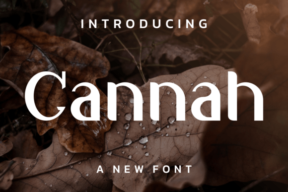 Cannah: A Modern and Natural Display Font for Creative Projects